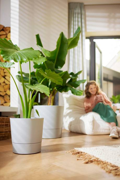 greensense aqua care round 43cm light concrete